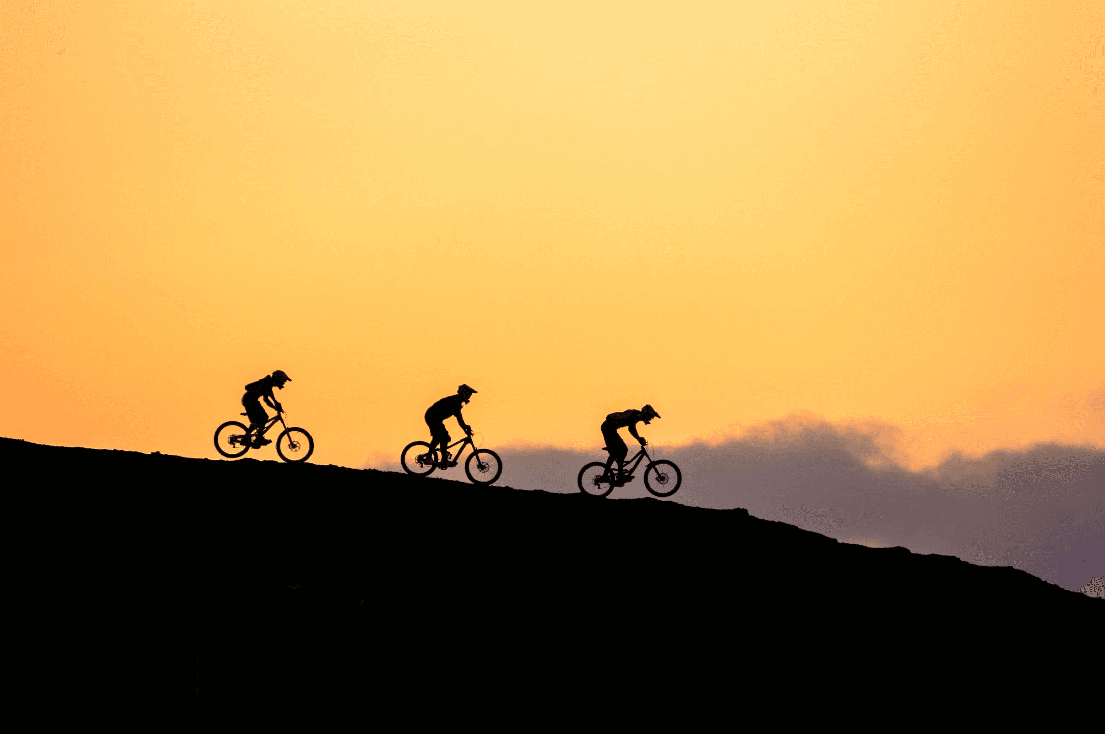 Mountain bikers at sunset