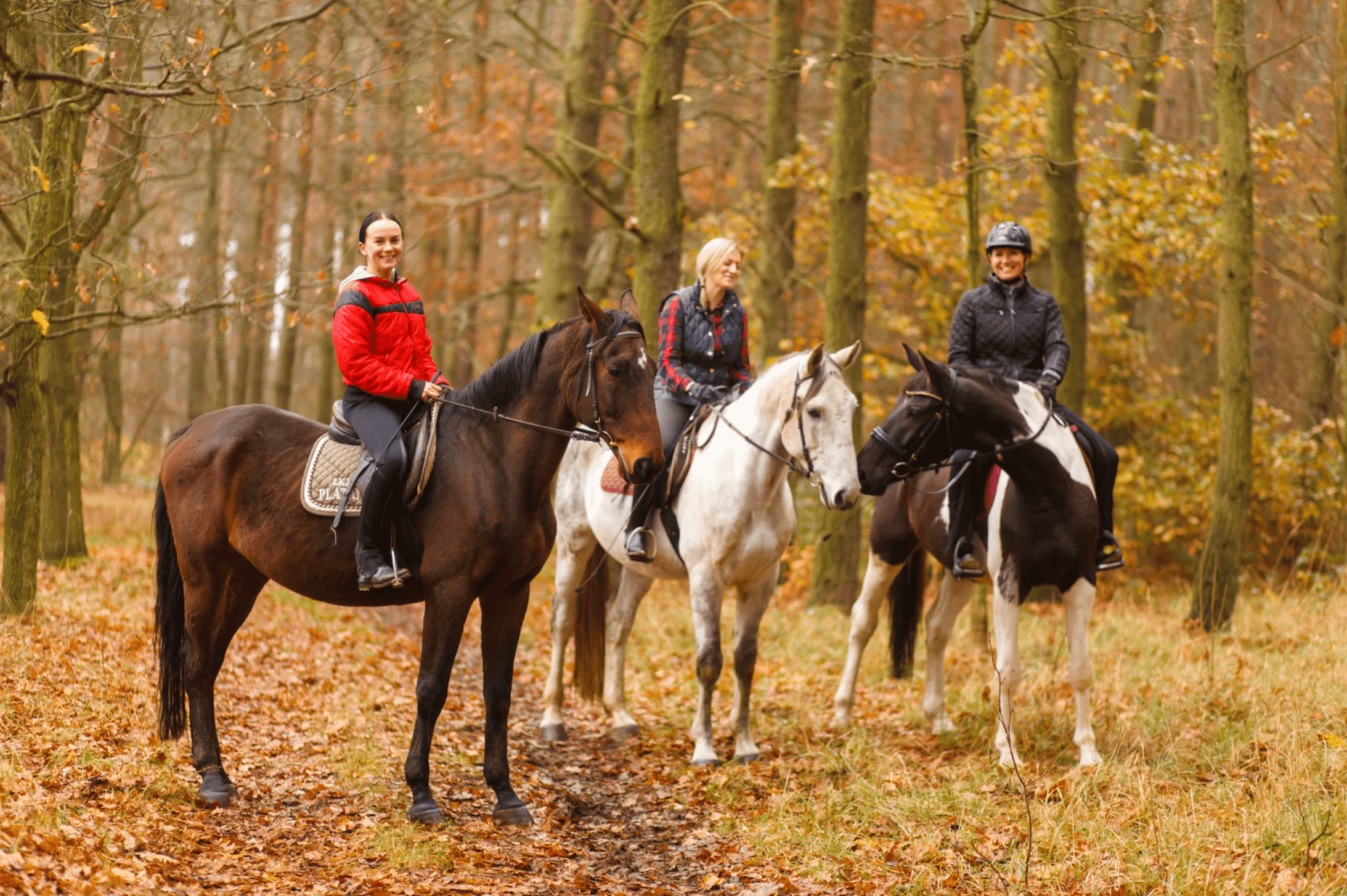 Group horseback riding lesson